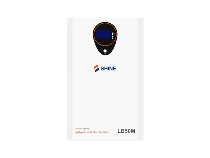 LB50MH Wall Mounted Lithium Battery 51.2V 100AH